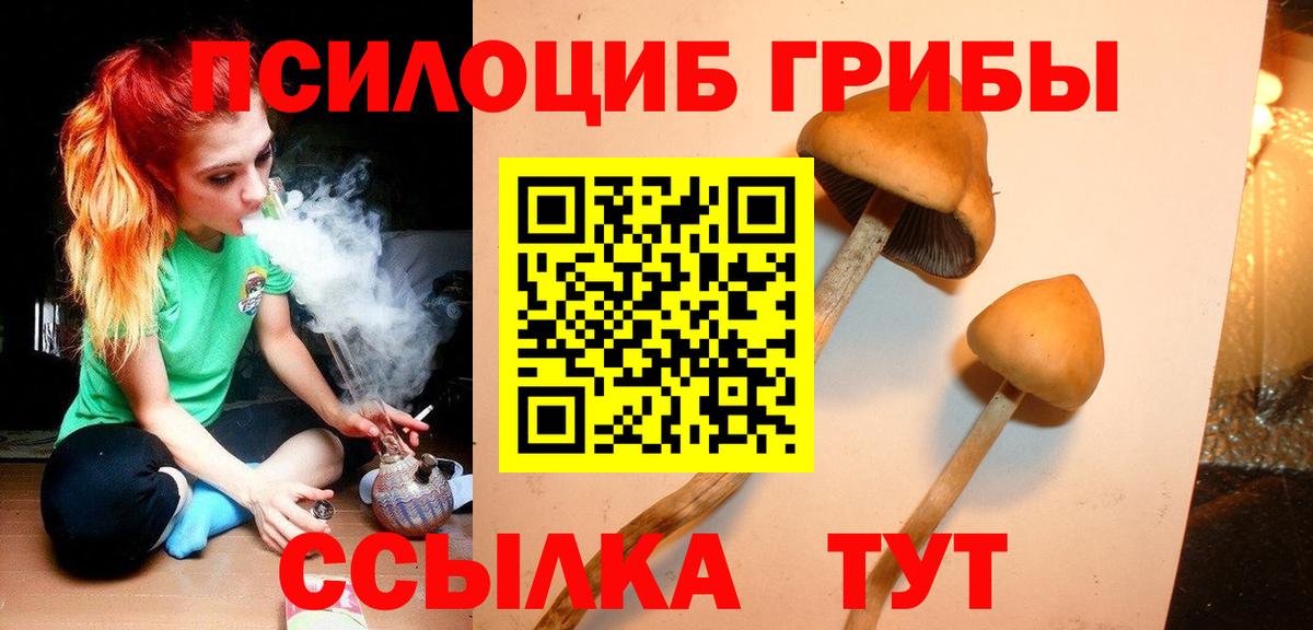 Галлюциногенные грибы Psilocybe  Вход с VPN  Сафоново 