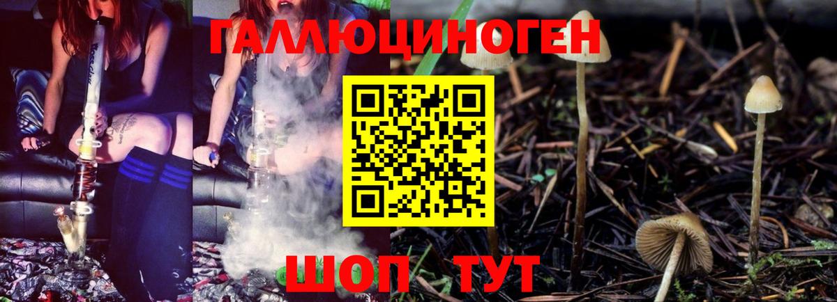 Галлюциногенные грибы мухоморы Сафоново